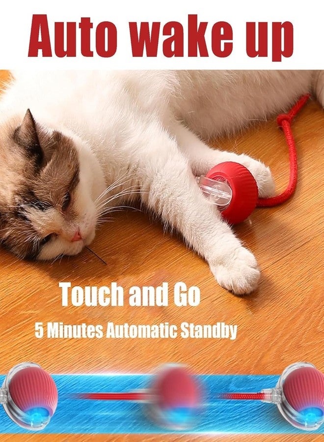 ROMILAS Cat Toys, Cat Toy, Cat Toys for Persian Cat Interactive Cat Toys Balls Automatic Moving Cat Balls for Bored Indoor Toys for Indoor Kitten Play Chase Exercise（Red） - Image 4